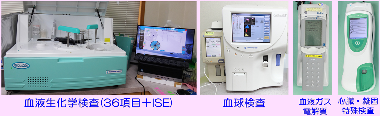 血液生化学検査